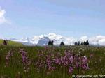 Alpi Mont-Blanc.