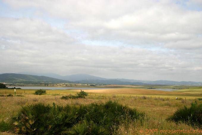 Paesaggio Embalse de Barbate, Alcala de Los Gazules - Spagna, Andalusia