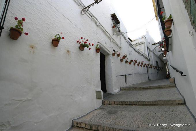 Gerani Via Arcos de la Frontera - Spagna