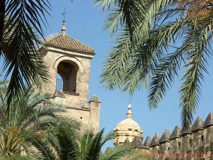 Guarda tra le palme nei giardini del Alcazar, Cordoba - Spagna, Andalusia