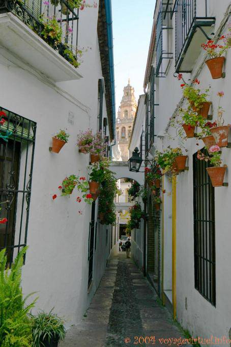 Medina y Corella, vicolo stretto, Cordoba - Spagna, Andalusia