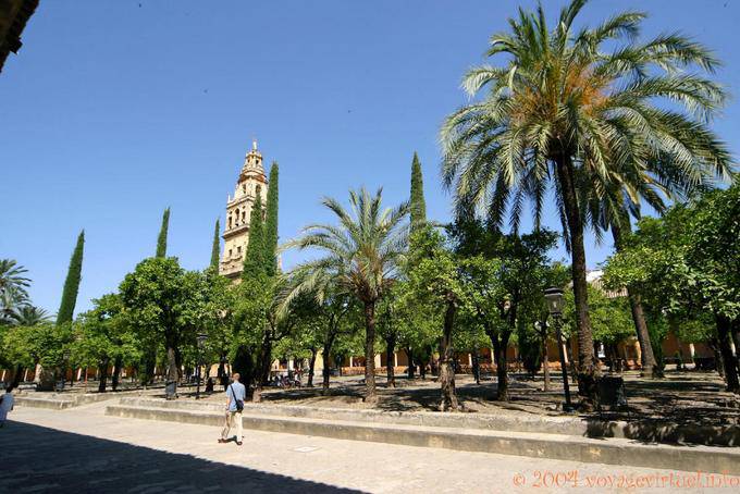 Nel giardino del Patio de los Naranjos, Cordoba - Spagna, Andalusia