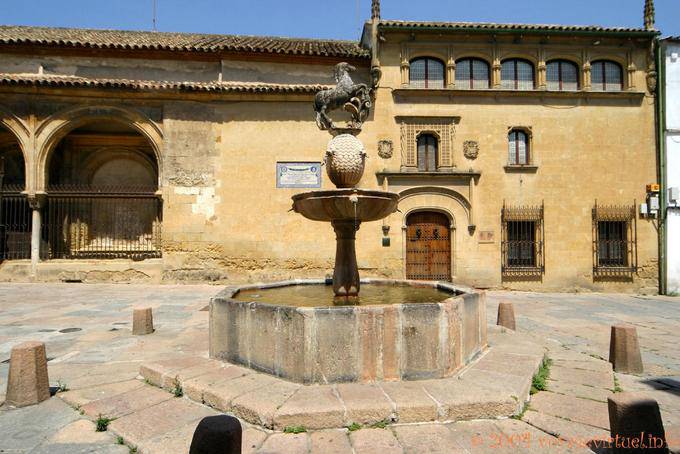 Fontana cavallo, Plaza del Potro, di fronte al Museo de Bellas Artes, Cordoba - Spagna, Andalusia