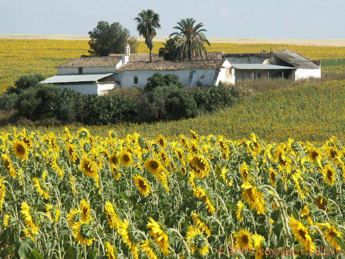 Farm a Grazalema - Spagna