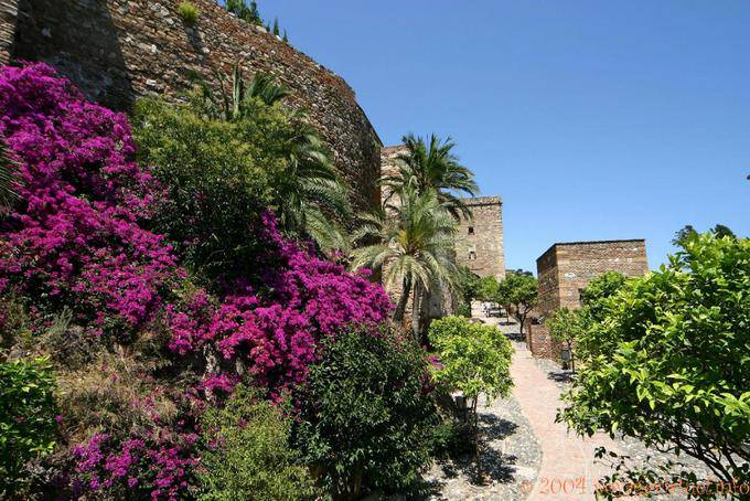 Pareti floreali della Alcazaba, Malaga - Spagna, Andalusia
