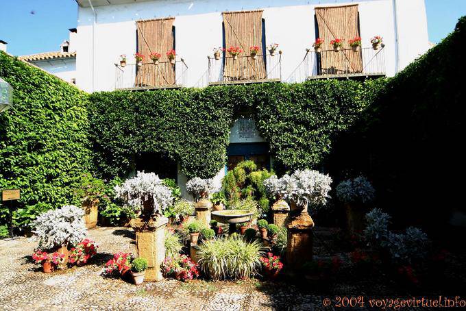 Controllata invasione pianta nel patio de las Rejas, Palacio de Viana, Cordoba - Spagna, Andalusia