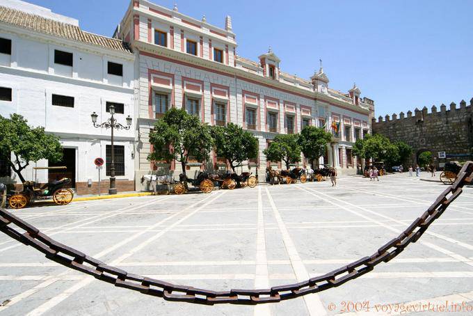Carrozze in attesa sulla Plaza del Triunfo, Siviglia - Spagna