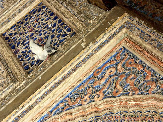 Pigeon perso in arabeschi, Siviglia Alcazar - Spagna