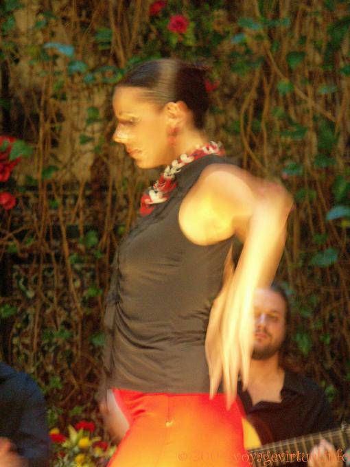 Blur danza, Siviglia Flamenco - Spagna