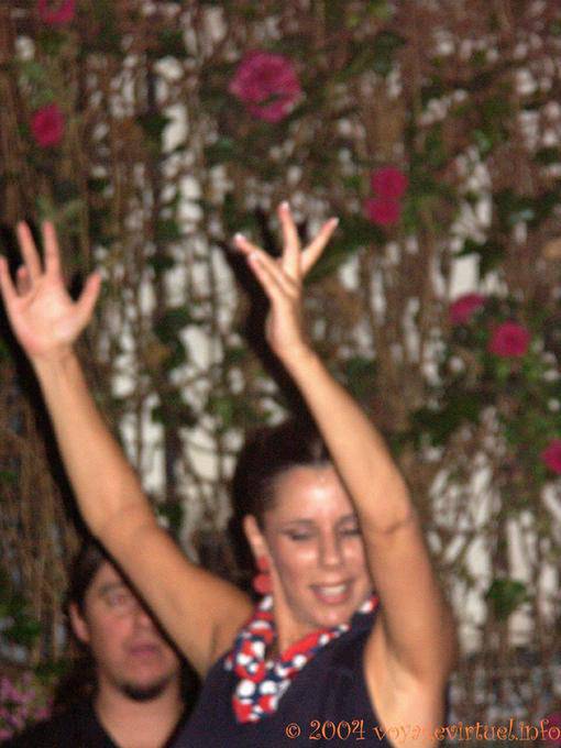 Flamenco mani ballerino, Siviglia - Spagna
