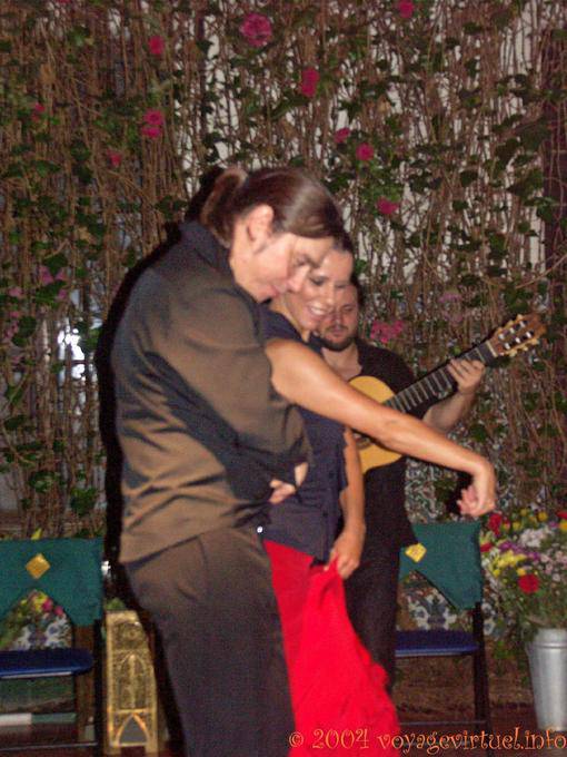Ballerini mischia, Siviglia Flamenco - Spagna