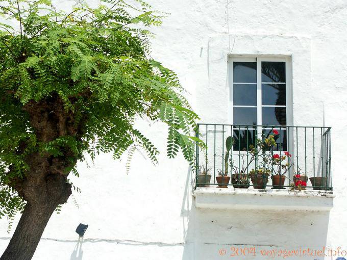 Albero e balconcino, Tarifa - Spagna