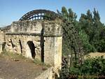 Noria Albolafia, Cordoba, Spagna.