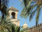 Guarda tra le palme nei giardini del Alcazar, Cordoba, Spagna.