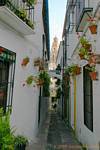 Medina y Corella, vicolo stretto, Cordoba, Spagna.