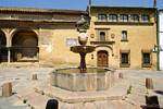 Fontana cavallo, Plaza del Potro, di fronte al Museo de Bellas Artes, Cordoba, Spagna.