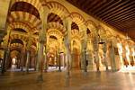 Panoramic 850 colonne e capitelli stili, Cordoba Mezquita, Spagna.