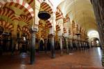Doppia fila di colonne, Cordoba Mezquita, Spagna.
