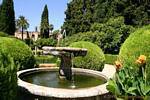 Topiary e fontana nel giardino, Siviglia Alcazar, Spagna.