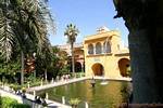 Mercurio, Siviglia Alcazar Stagno, Spagna.