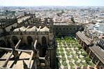 Vista del Patio de los Naranjos e la Puerta del Perdon dalla cima della Giralda, la Cattedrale di Siviglia, Spagna.