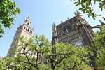 Top della Giralda e la facciata gotica, Cattedrale di Siviglia, Spagna.