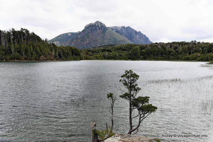 Un'altra vista del Parque Nacional Llao Llao, Bariloche - Argentina