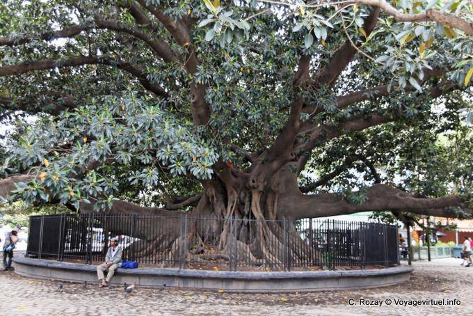 Piazza San Martino di Tours, Buenos Aires - Argentina
