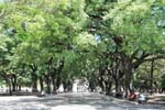 Plaza San Martin, Buenos Aires, Argentina.