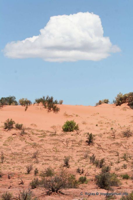 Ischigualasto, nuvola di sabbia - Argentina