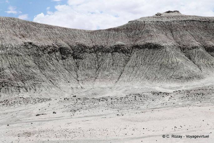 Erosione, Ischigualasto, Valle de la Luna - Argentina
