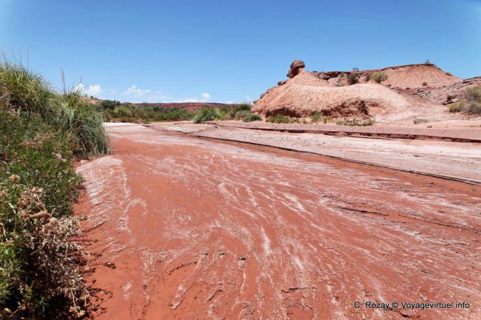 Sale nel letto del fiume, Ischigualasto, Valle della Luna - Argentina