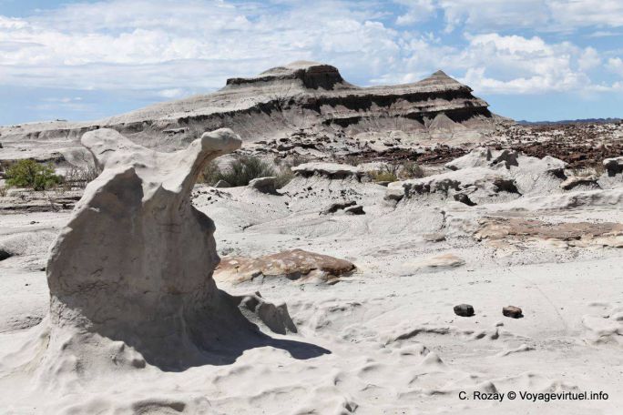 Il legno fossilizzato Ischigualasto, Valle della Luna - Argentina