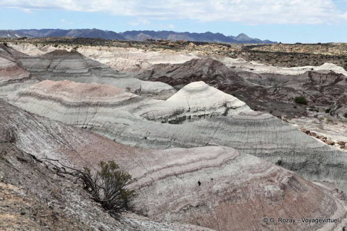 Valle Pintado, Ischigualasto, Valle de la Luna - Argentina