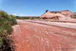Sale nel letto del fiume, Ischigualasto, Valle della Luna, Argentina.