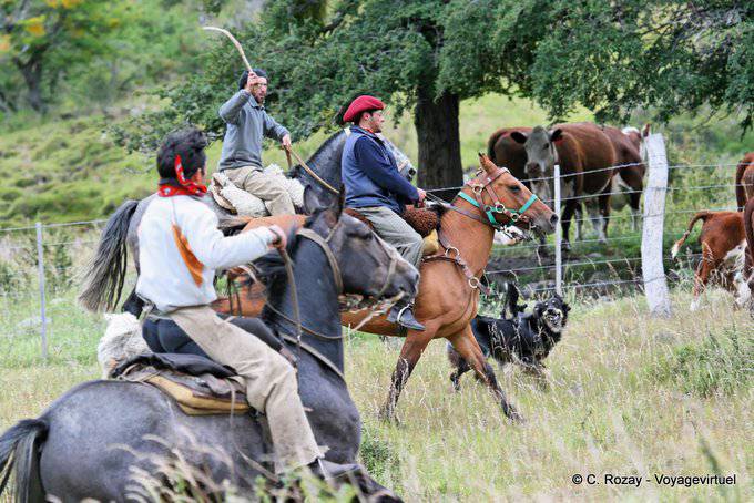 El calafate gauchos estancia nibepo aike 15 - Argentina