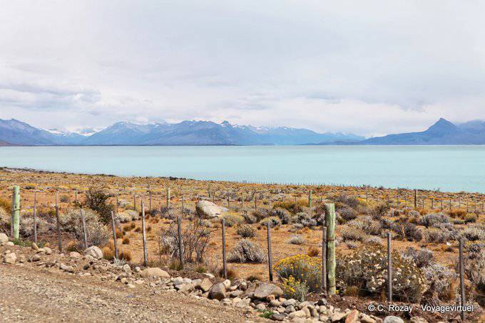 Paseo de la Costanera, Lago Argentino Vue - El  Calafate - Argentina