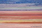 Colors of Patagonia, El Calafate, Argentina.