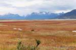 Campagna estiva nel mese di dicembre, Colors of Patagonia, El Calafate, Argentina.