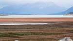 Nebbia, lago e gregge Colori Patagonia, El Calafate, Argentina.