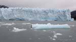 Mini iceberg galleggiante, Ghiacciaio Perito Moreno, El Calafate, Argentina.