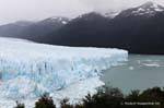 Lingua sud immersione nel Lago Argentino, Perito Moreno, El Calafate, Argentina.