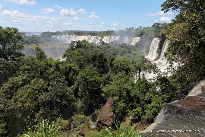 Jungle scenario di Iguazu Falls - Argentina