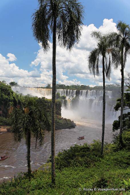 Palme sul circuito minore, Puerto Iguazu Cataratas - Argentina