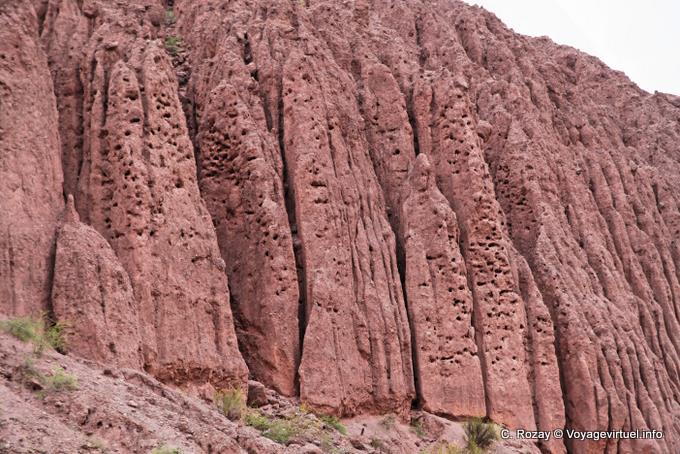 Concentrarsi su Casa de Loros, Quebrada de las Conchas - Argentina