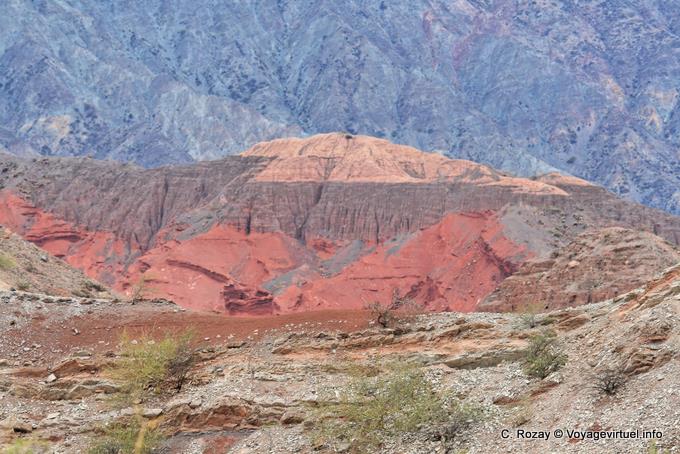Colore colorado, Quebrada de las Conchas - Argentina
