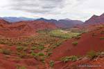 La verde vallata del Rio de las Conchas, Quebrada de las Conchas, Argentina.