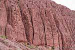Concentrarsi su Casa de Loros, Quebrada de las Conchas, Argentina.