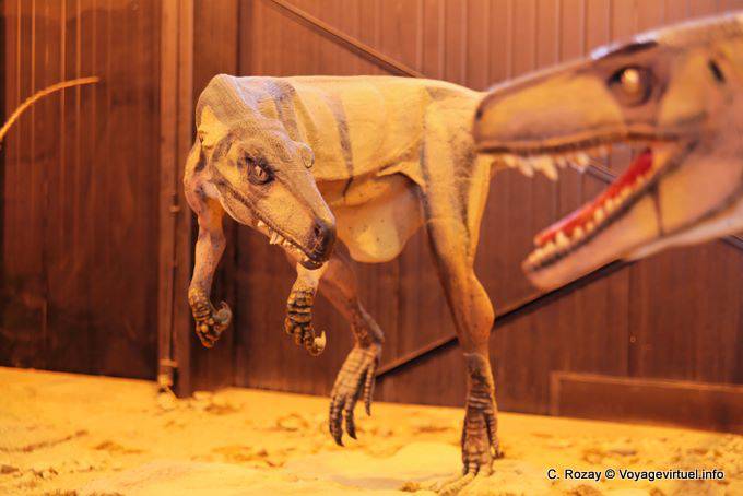 Dinosaur Riproduzione Ciencias Naturales Museo, Ischigualasto - Argentina