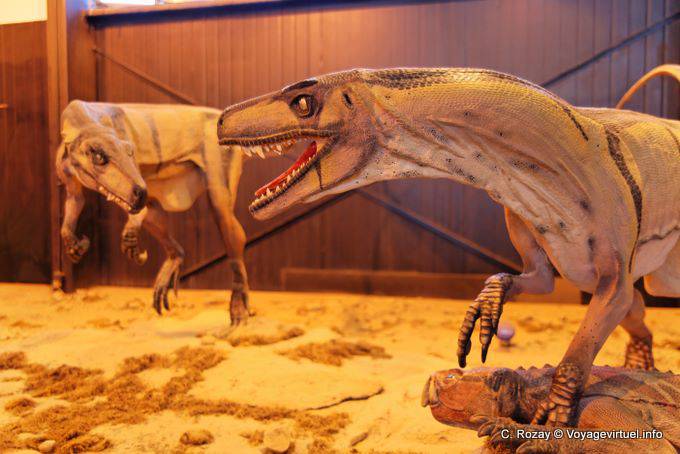 Dinosauri Lotta, museo della scienza, Ischigualasto - Argentina